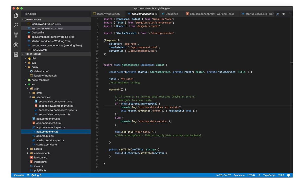 Ensuring Initializing and Server Side Configuration with Angular 4+