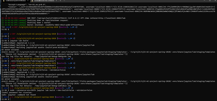 Jupyter Lab Build Failures under Wsl shutil.Error [Errno 13] Permission denied