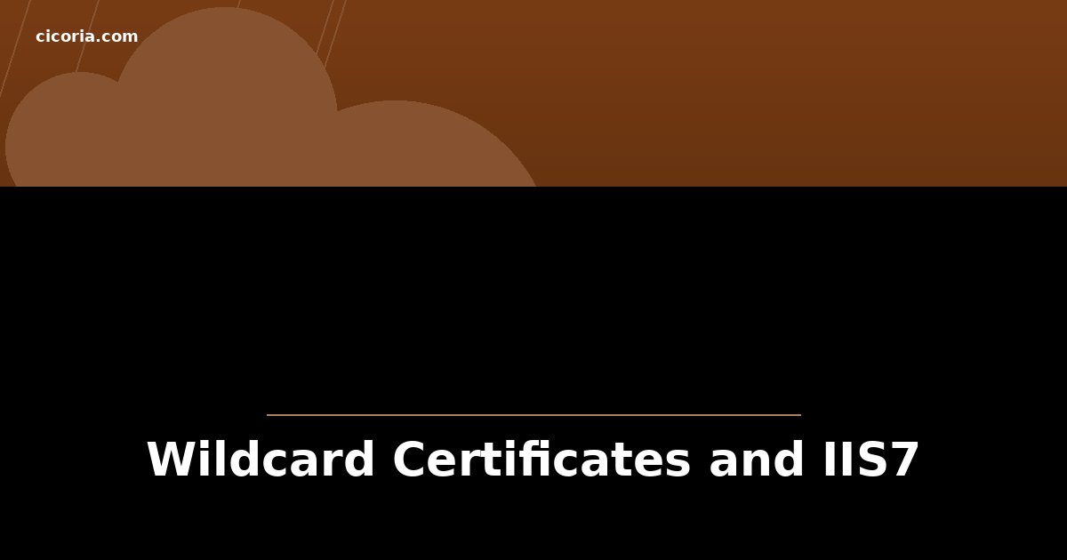 Wildcard Certificates and IIS7